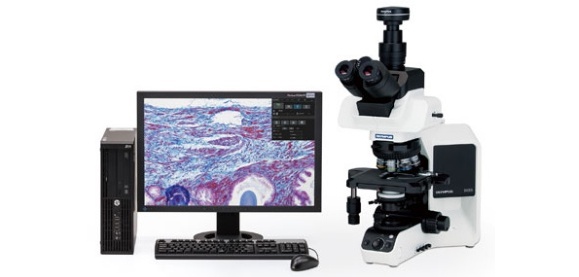 Microscope Cameras and Adapters